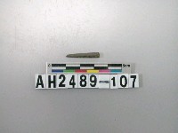 藏品(磨製石針)的圖片